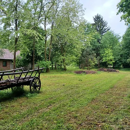 Krisztina Porta Vendeghaz