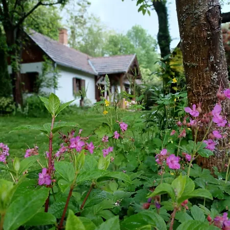Krisztina Porta Vendeghaz Tatil Evi Nemesnép