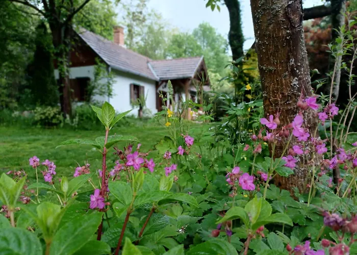 Krisztina Porta Vendeghaz Tatil Evi Nemesnép